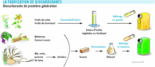 2tapes de la fabrication de biocarburants